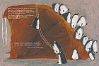 Даша Димитрова. Морж как морж, ничего особенного