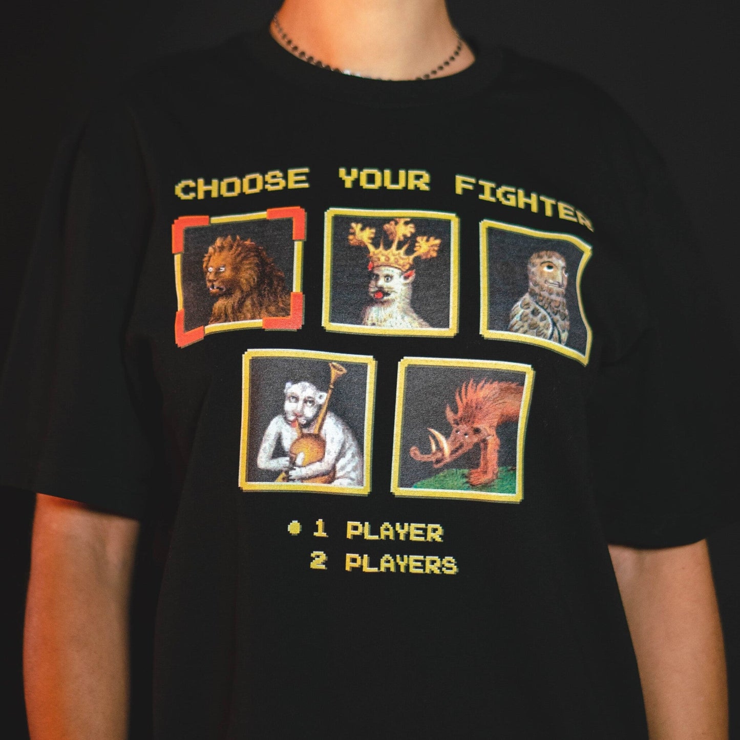 Choose your fighter | Футболка