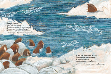 Даша Димитрова. Морж как морж, ничего особенного