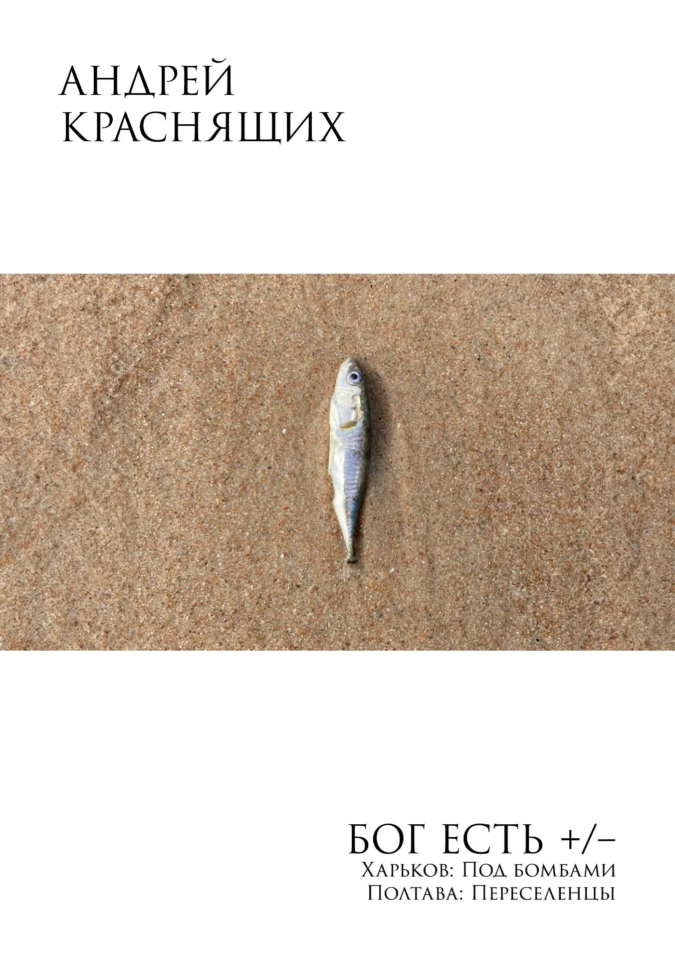 Andrey Krasnyashchikh. God exists +/-