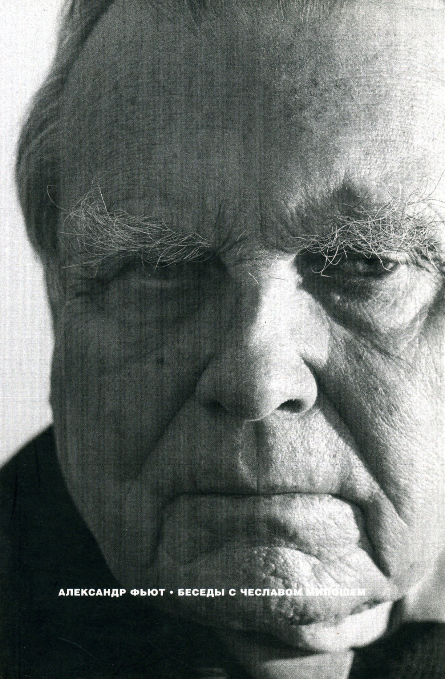 Alexander Fiut. Conversations with Czesław Milosz