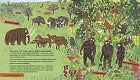 Кэтрин Барр, Стив Уильямс, Эйми Хасбанд. История людей. Моя первая книга о человечестве