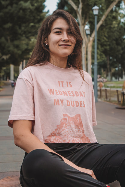 It is wednesday my dudes | Crop-top