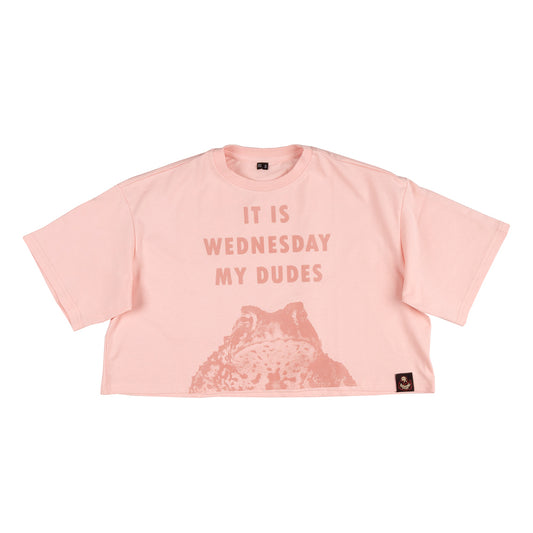 It is wednesday my dudes | Crop-top