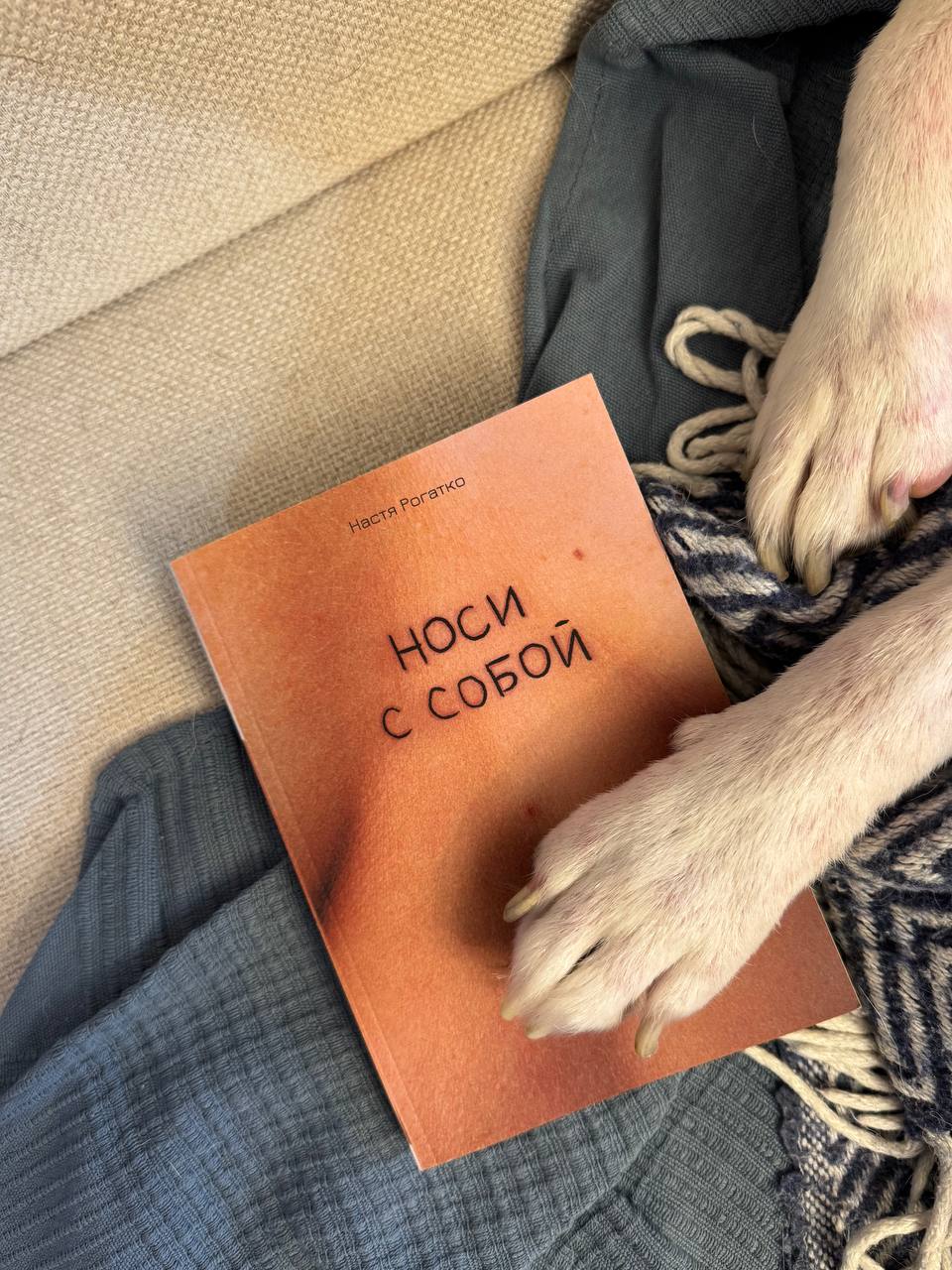 Настя Рогатко. Носи с собой